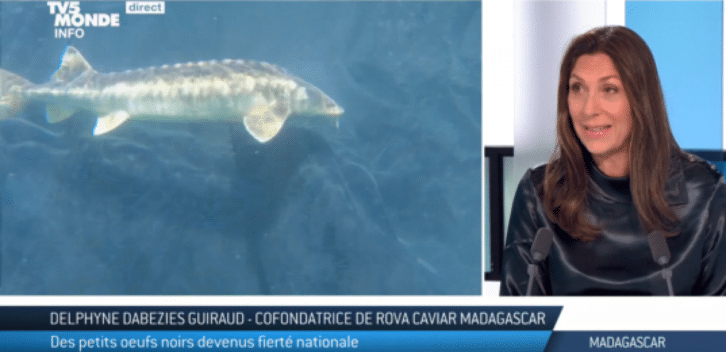 Image à la une de Madagascar : du caviar français produit sur l’île