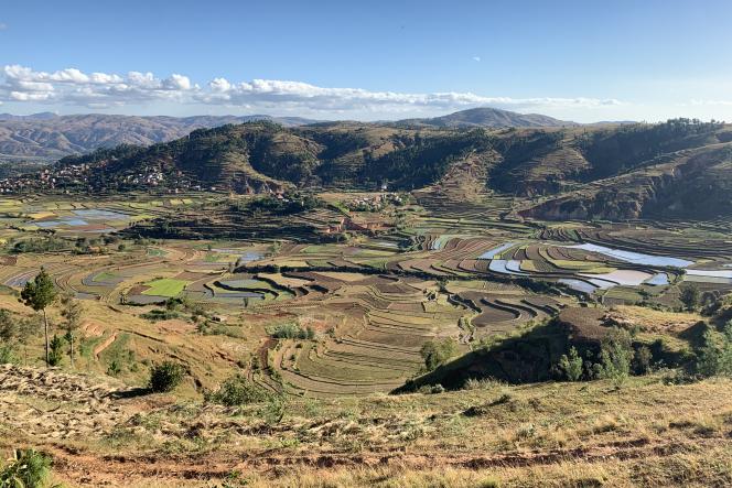 Image à la une de « Tout le monde ne pourra pas s’adapter » : à Madagascar, le changement climatique ébranle les paysans des Hautes Terres