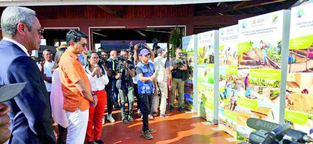 Image à la une de Reforestation de Madagascar – Imperial Brands passe aux choses sérieuses