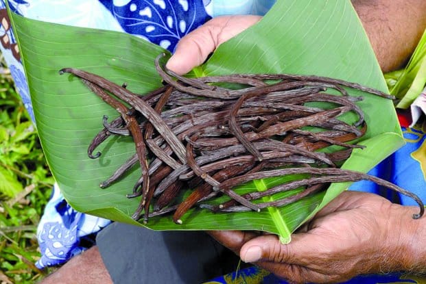Image à la une de Règlementations sur la filière « vanille – Les opérateurs malagasy s’en remettent à la Commission européenne 