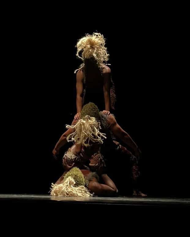 Image à la une de Le Temps Fort Danse – La performance des danseurs ébloui le public