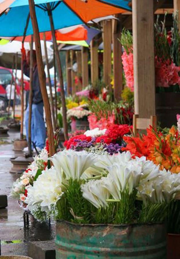Image à la une de Fête de la Toussaint – Des fleurs détruites par la grêle
