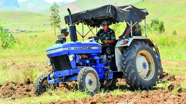 Image à la une de Appui en intrants agricoles – Redynamisation de 6 camps pénaux