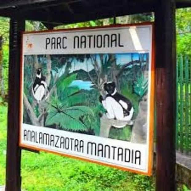 Image à la une de Parc d’Andasibe – Deux voleurs du coffre d’un hôtel épinglés