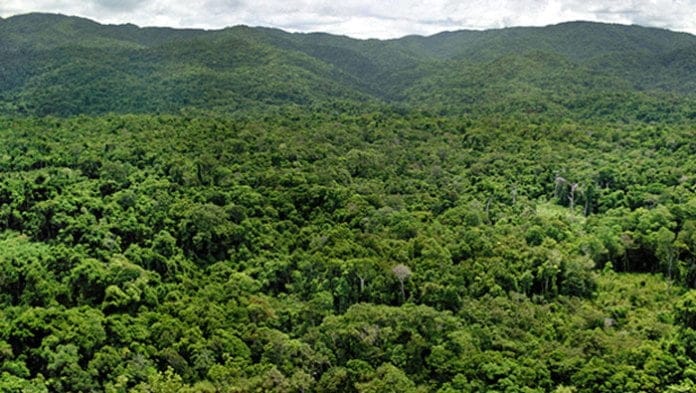 Image à la une de Incendies et feux de forêts : Un fonds d’urgence pour 17 aires protégées