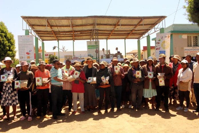Image à la une de Développement agricole : Des paysans du Vakinankaratra dotés de semences Rémide riz améliorées