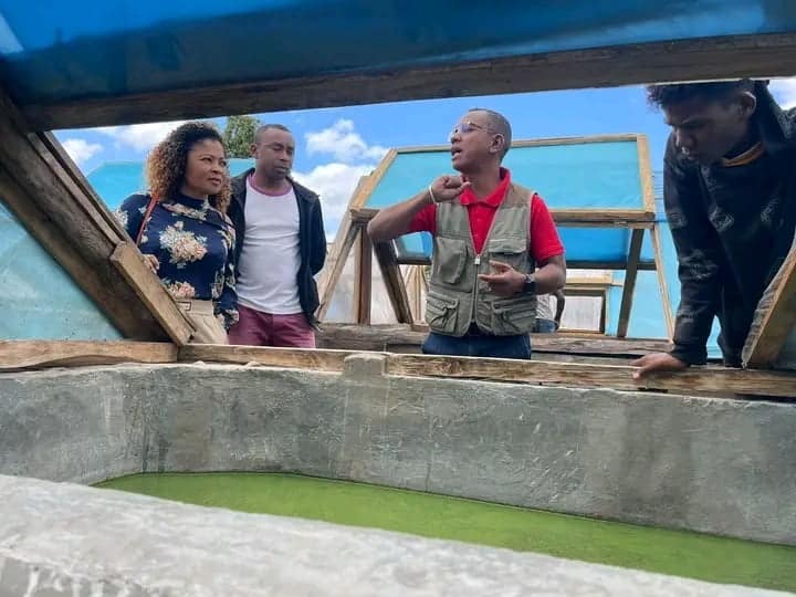 Image à la une de REGION ANDROY – Une unité de production de spiruline à Antanimora Sud