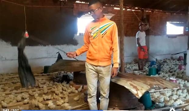 Image à la une de Agribusiness à Imerintsiatosika – L’élevage porcin et avicole en pleine expansion