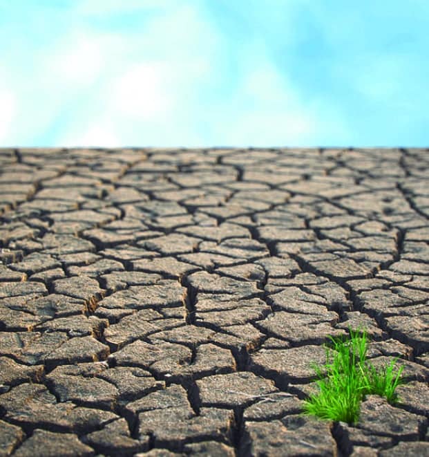 Image à la une de Fortes précipitations et aridité – Le phénomène « El Niño » à la manœuvre