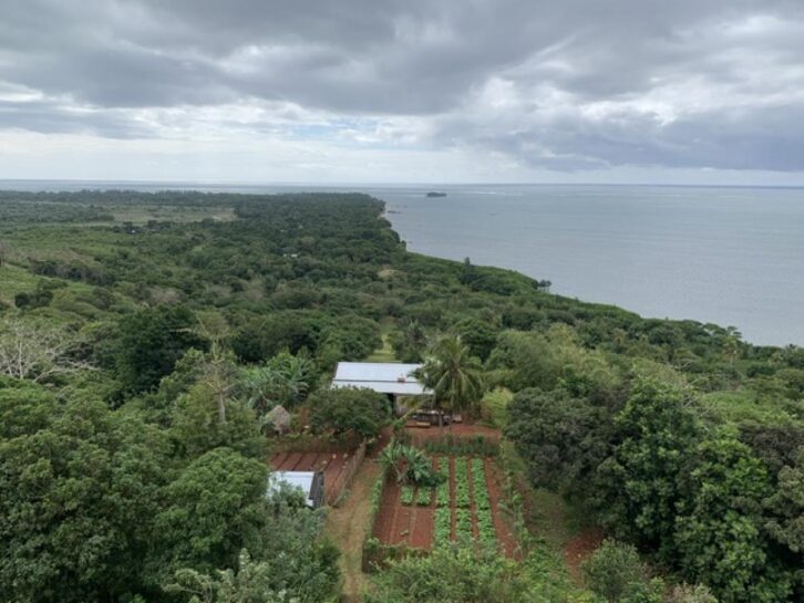 Image à la une de À la recherche du tombeau perdu du “roi de Madagascar”