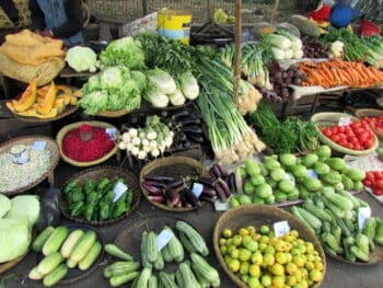 Image à la une de Malnutrition chronique : Une baisse de 32,1%, envisagée en 2026