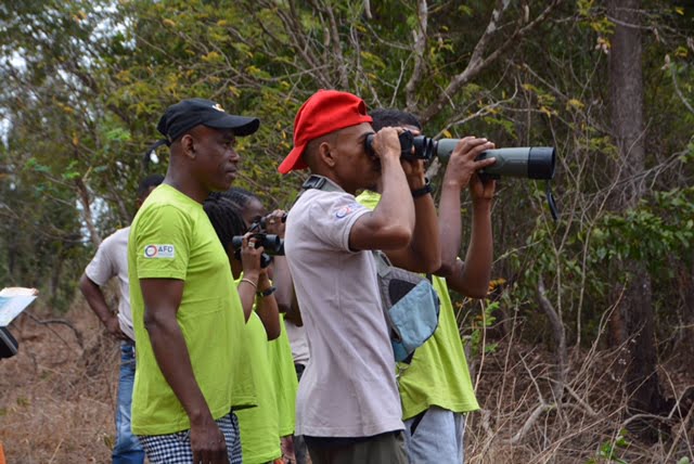 Image à la une de ANTSIRANANA – Le « birdwatching », un marché prometteur