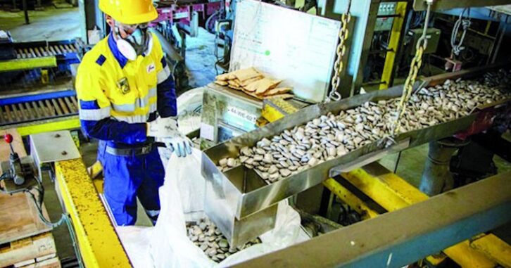 Image à la une de Le secteur minier devrait booster l’économie malgache