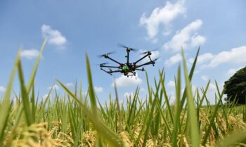 Image à la une de DÉVELOPPEMENT – Les projets en innovations vertes se multiplient
