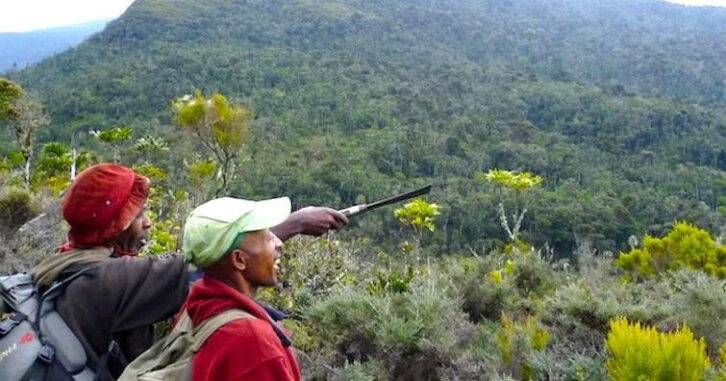 Image à la une de 8,8 millions de dollars sont accordés à Madagascar sous forme de crédits de carbone forestier.