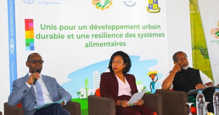 Image à la une de Antananarivo : Déclin de l’agriculture dans les zones urbaines et périurbaines