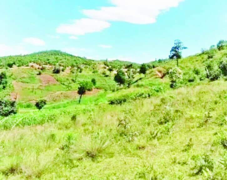 Image à la une de FIANARANTSOA – Une étudiante d’université assassinée