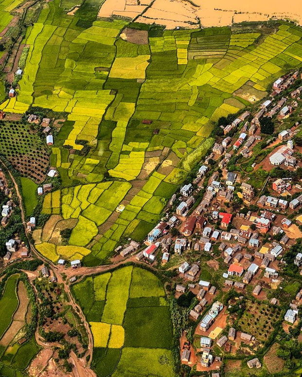 Image à la une de Destination touristique – Madagascar dans le top 10 africain