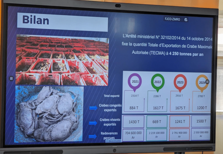 Image à la une de Seha-pihariana drakaka : avo efatra heny mitaha ny tamin’ny 2021 ny vola nampidiriny ho an’ny kitapom-bolam-panjakana 2023