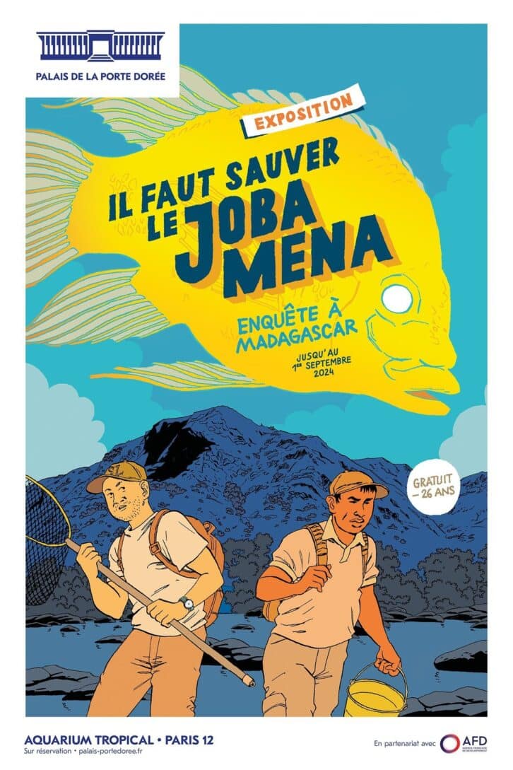 Image à la une de Biodiversité malgache : un poisson nommé Joba Mena
