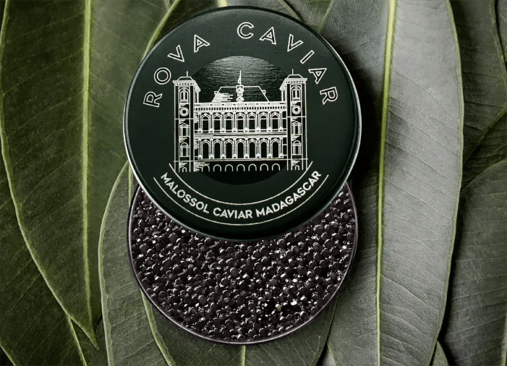 Image à la une de CONSOMMATION – Le caviar made in Madagascar débarque aux États-Unis