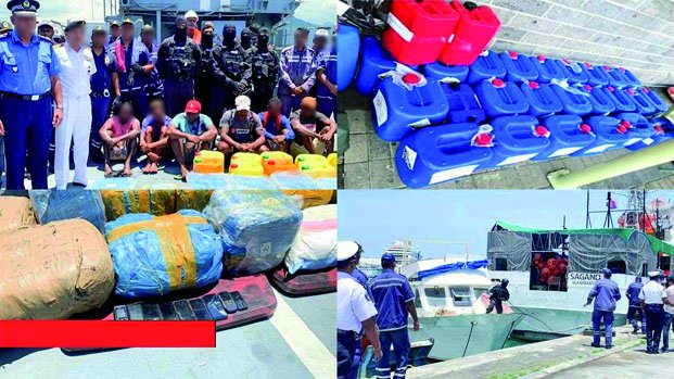 Image à la une de Trafic de cannabis à Maurice – 6 Malagasy parmi les suspects arrêtés