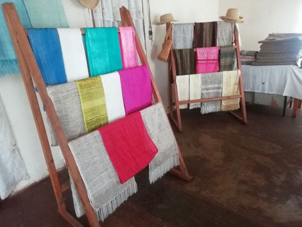 Image à la une de Sériciculture – Appel de détresse de la filière « ver à soie » 