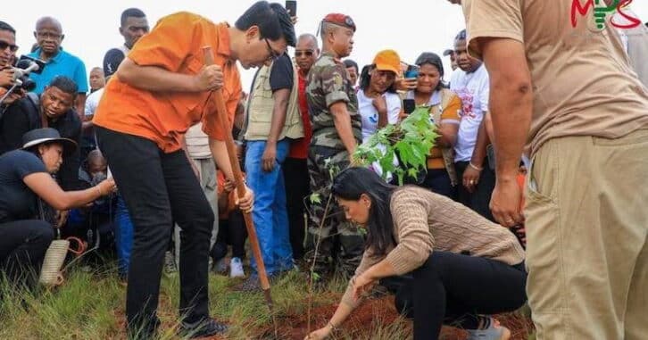 Image à la une de Reboisement national : 300 millions d’arbres à planter