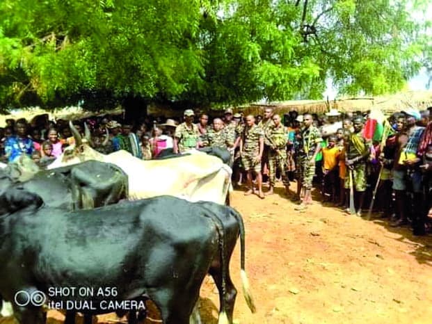 Image à la une de Affrontements meurtriers à Ambatofinandrahana – 11 personnes tuées