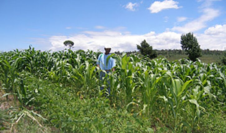 Image à la une de AGRIBUSINESS – Les investissements  des pme sollicités