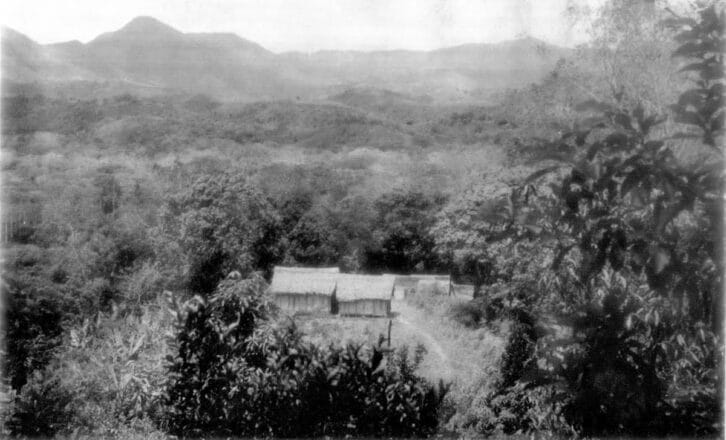 Image à la une de Sur l’ancienne piste Toamasina-Antananarivo