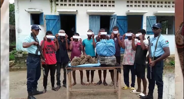 Image à la une de ANTANAMBAO-ANDRANOLAVA  –  Quarante kilos de marijuana saisis et huit dealers arrêtés