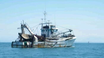 Image à la une de PÊCHE ILLÉGALE – Les moyens de lutte s’étoffent