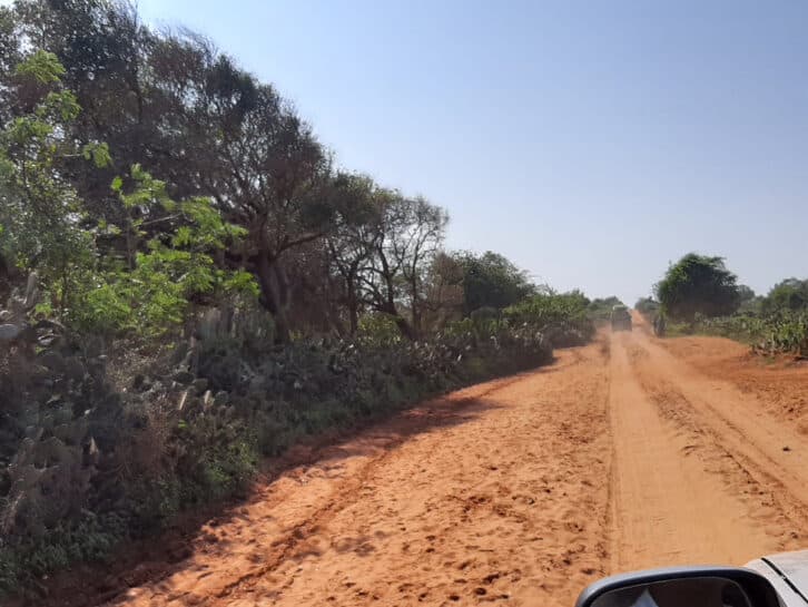 Image à la une de ROUTE NATIONALE 10 – Un avis d’appel d’offres pour Ampanihy-Ambovombe
