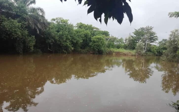 Image à la une de TOAMASINA – Un père de famille et sa fille meurent noyés