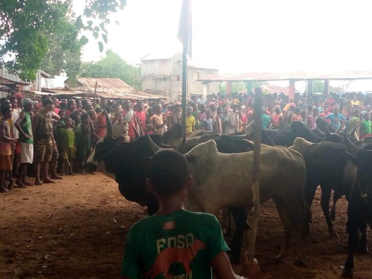 Image à la une de MAHABO – Des gens coupent les avant-bras des dahalo