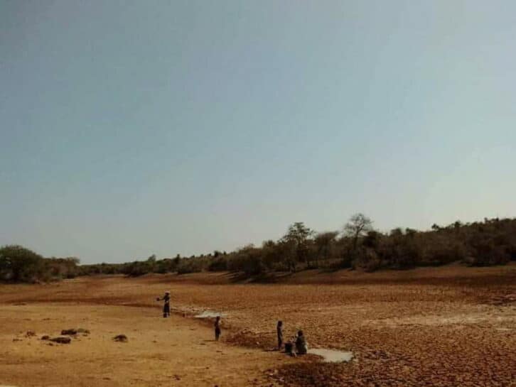 Image à la une de ENVIRONNEMENT  –  Le phénomène El Niño à craindre dans le Sud