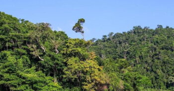 Image à la une de Madagascar un bon élève en afrique subsaharienne