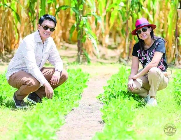 Image à la une de Technique « Pfumvudza » à Madagascar – La révolution agricole en marche