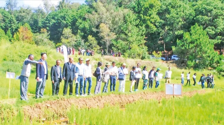 Image à la une de AGRICULTURE – Des techniques nouvelles pour augmenter la production rizicole
