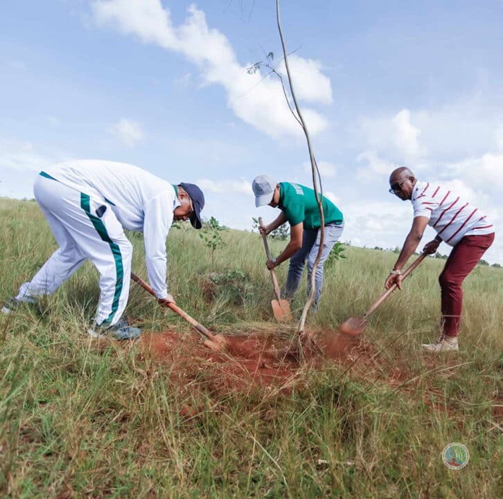 Image à la une de REBOISEMENT – Appel à une participation massive au suivi des jeunes plants