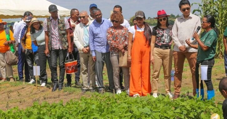 Image à la une de Vulgarisation agricole : Madagascar mise sur une méthode culturale zimbabwéenne