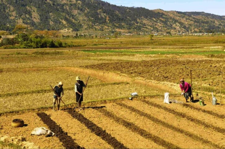 Image à la une de CHANGEMENT CLIMATIQUE – Le projet Défis+ soutient les petits exploitants agricoles