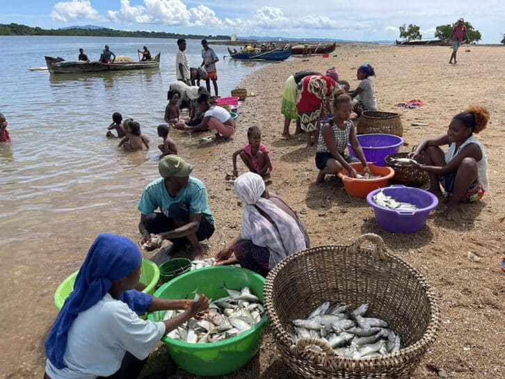 Image à la une de AMBANJA – NOSY FALY –  Journées productives pour la pêche aux Mahaloky