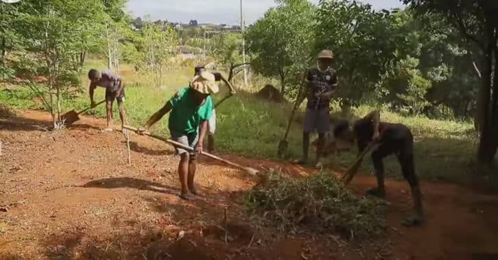 Image à la une de ENVIRONNEMENT – Création d’un arboretum à Ambatobe