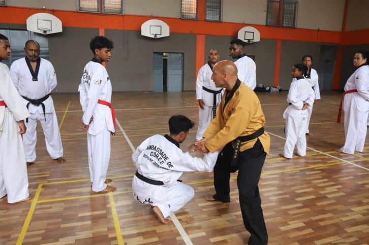 Image à la une de TAEKWONDO WT ­– STAGE – Olivier Sicard évalue les pratiquants