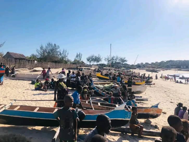 Image à la une de TRAFIC D’ESPÈCES INTERCEPTÉ EN THAÏLANDE – Les autorités de Morombe contestent