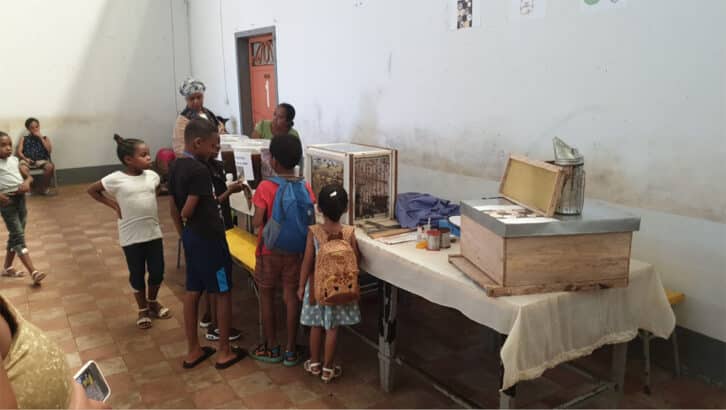 Image à la une de ANTSIRANANA – Les jeunes au secours des abeilles