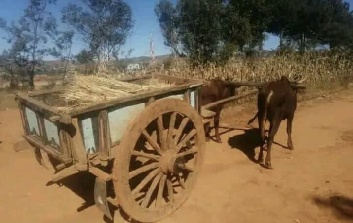 Image à la une de FARATSIHO – Des malfaiteurs infiltrent une veillée funèbre