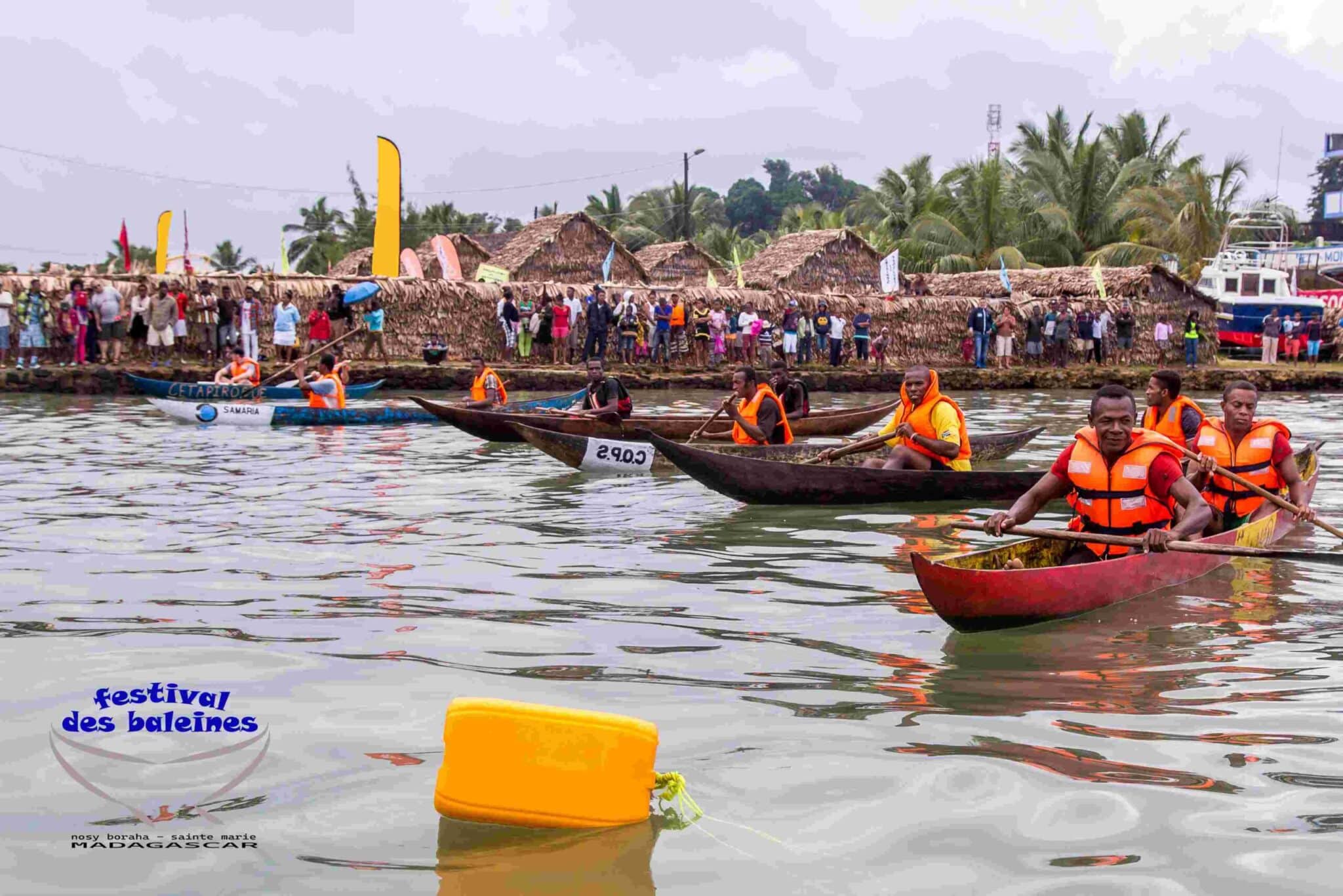 Image à la une de Qu'offre le Festival des Baleines à l'Île Sainte Marie en 2024?